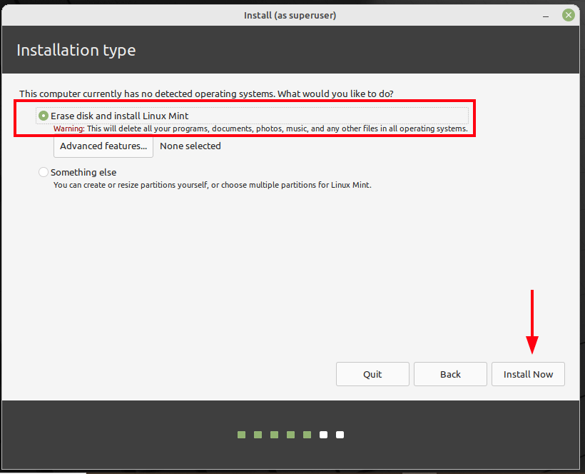 Linux Mint Installation Type