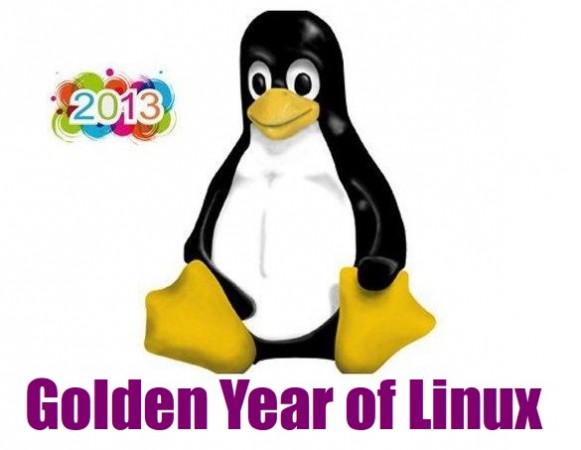 2013 Año de Linux