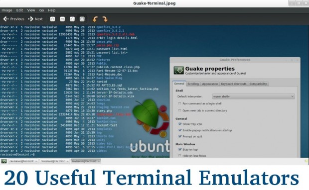 Emuladores de terminal Linux