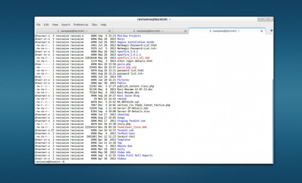 Roxterm de Terminal