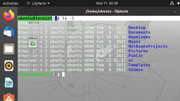 LilyTerm Terminal for Linux