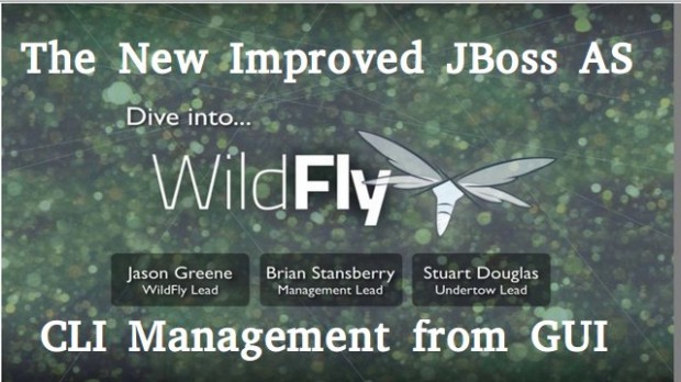 WildFly CLI Management