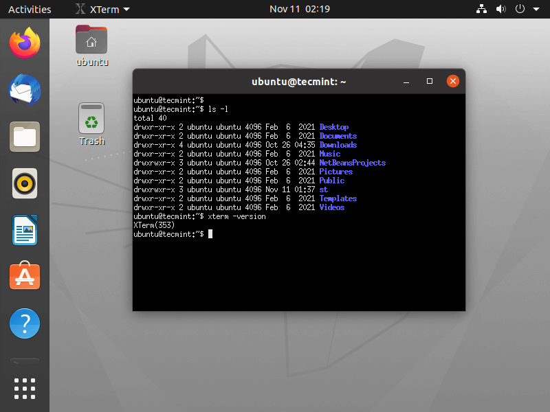 Xterm Terminal for Linux