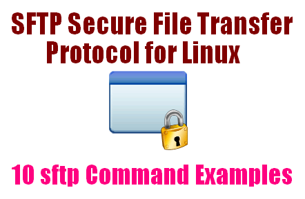 sftp command in unix to transfer file