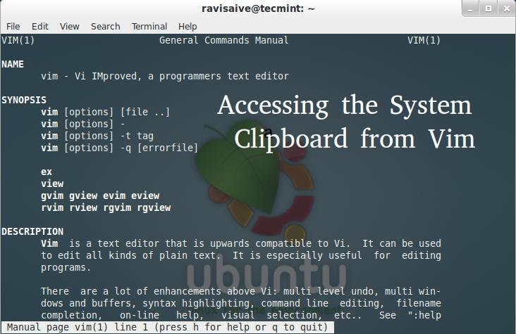 Accessing Clipboard Contents from Vim