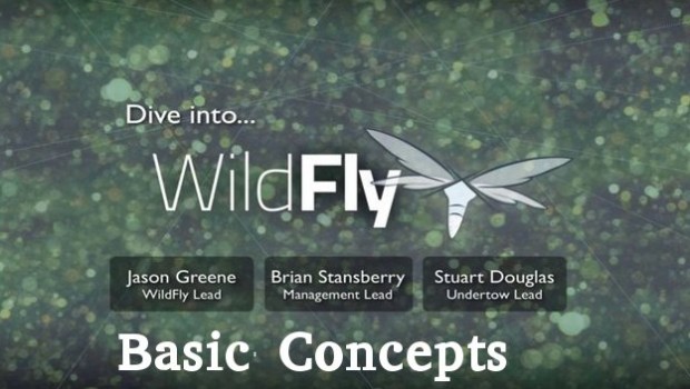 Basic Concepts in WildFly