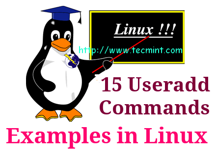 add users in linux