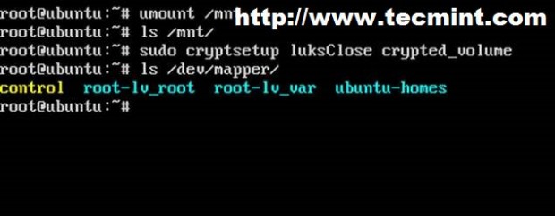 Umount Encrypted Partition 