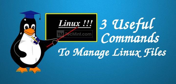 Linux Commands To Manage Files