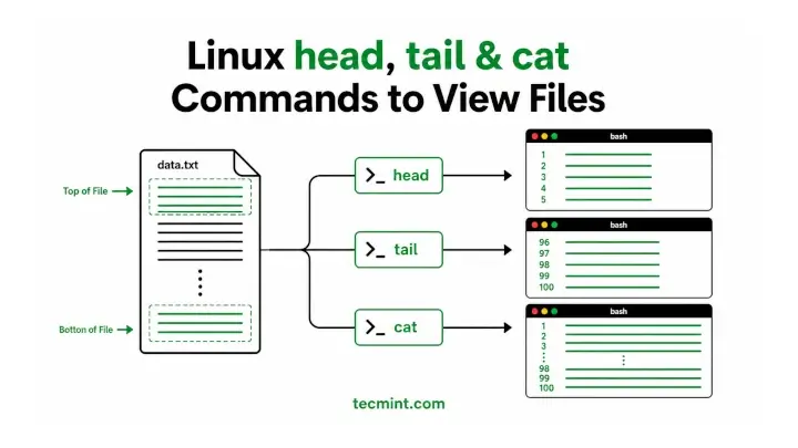 Linux head, tail & cat Commands to View Files