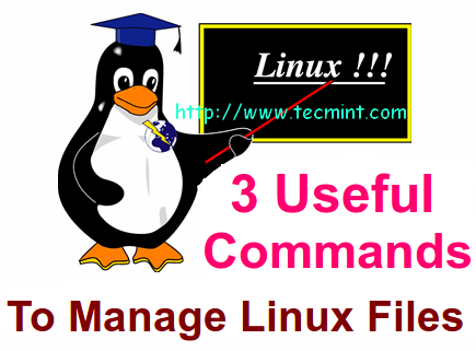 View Content of Files in Linux