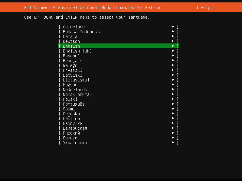 Ubuntu Server Language