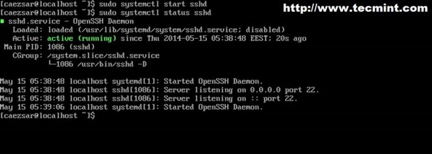 Start SSH in Arch Linux