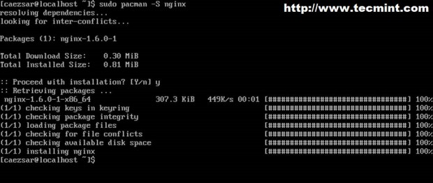 Install Nginx in Arch Linux
