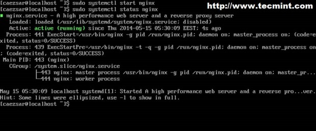 Iniciar servidor web Nginx