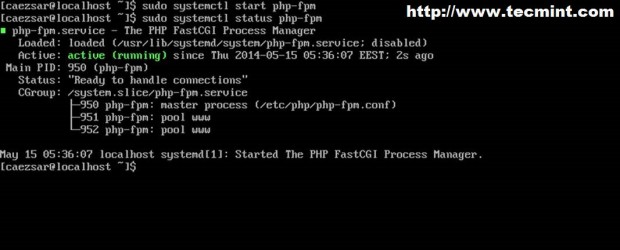 Start PHP-FPM Service