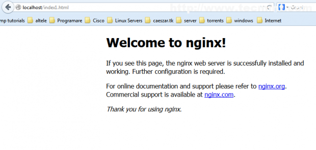Access Nginx Web Server