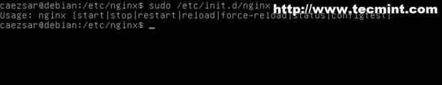 Install Nginx Server in Linux