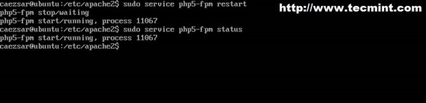 Start PHP FPM Service