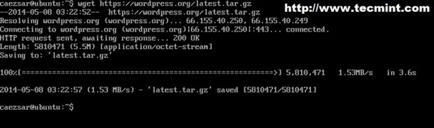 Download WordPress