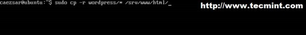 Copy WordPress Files