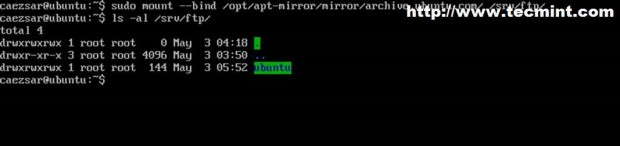 Mount apt-mirror to ProFTP Path
