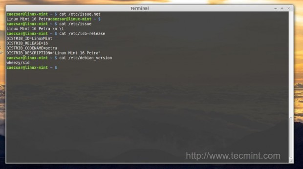 Check Linux Mint Version