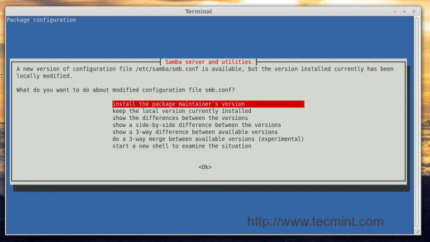 Install Package Maintainers Version