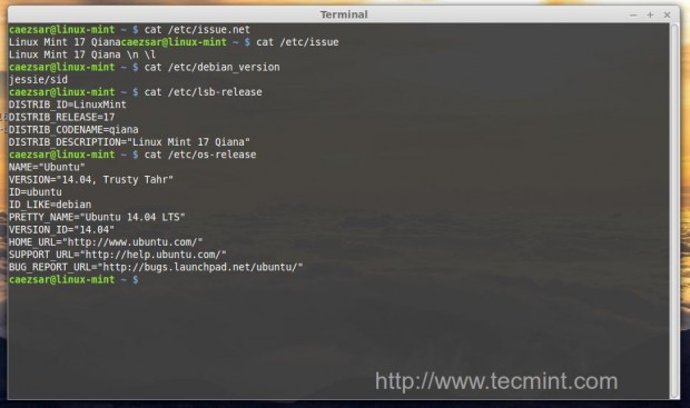 Verify Linux Mint Version