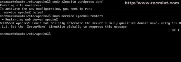 Active WordPress Virtual Host