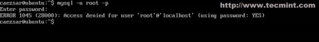 Connect to MySQL