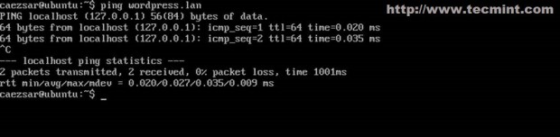 Resolve Local Domain