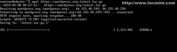 Download WordPress