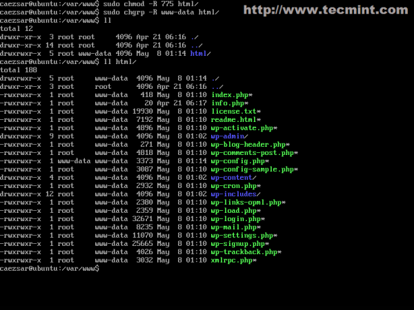 Confirm Apache and MySQL Services