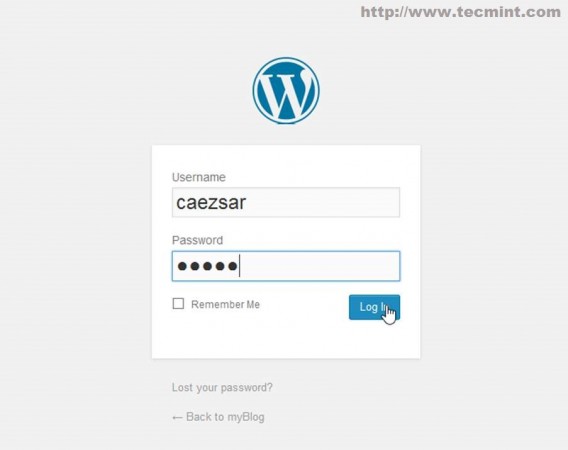 Login into WordPress Dashboard