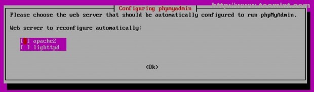 Choose Web Server