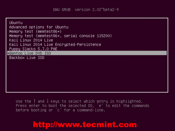 Select Gentoo from Grub Menu