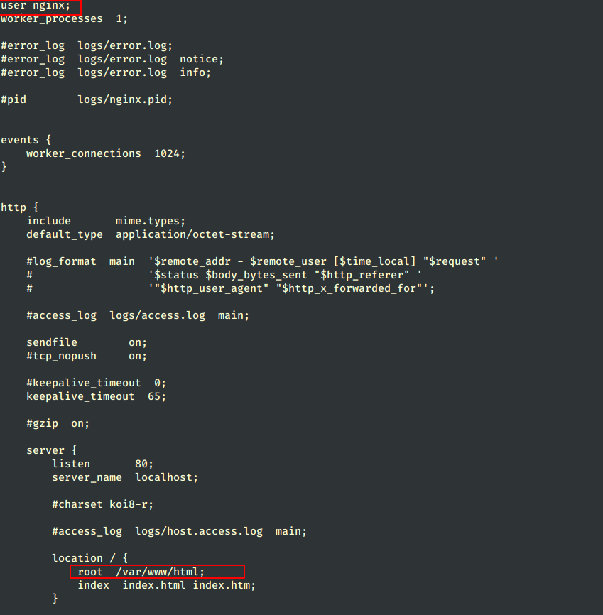 Configure Nginx User and DocumentRoot