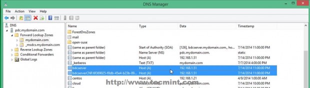 Confirm New DNS Entries