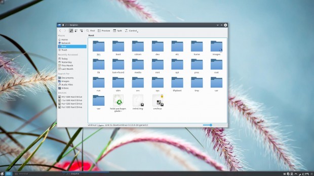 KDE Dophin File Browser