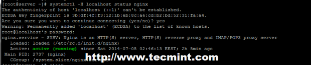 Run systemctl on Remote Server