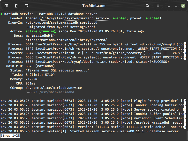 Check MariaDB Running Status