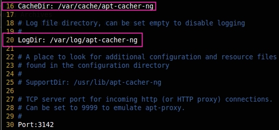 Configure Apt-Cacher-Ng