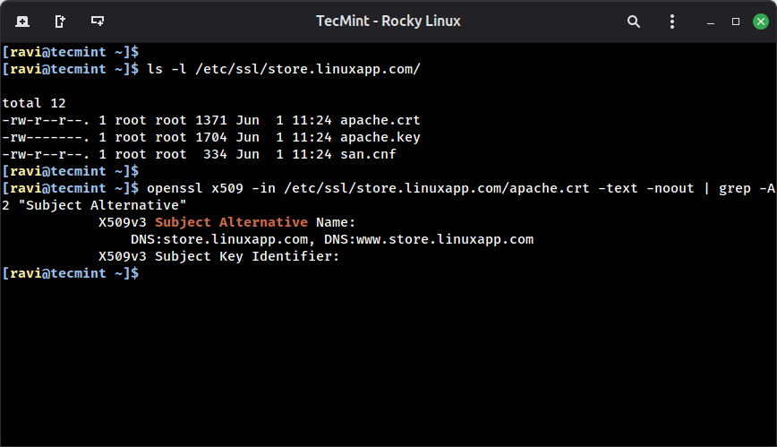 Confirm SAN Configuration in Your SSL Certificate