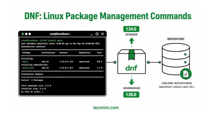 DNF: 20 Linux Package Management Commands