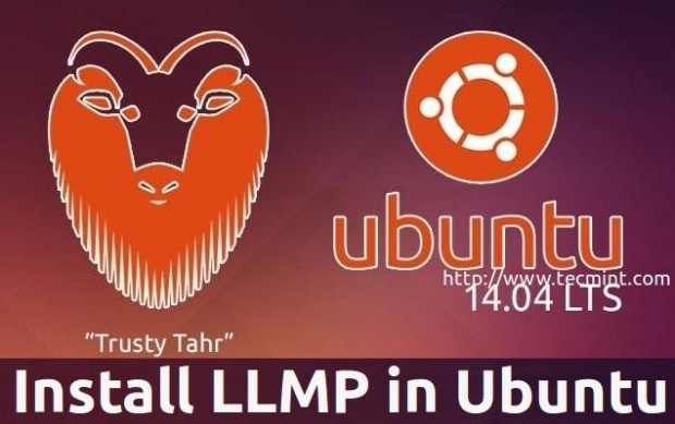 Install Lighttpd on Ubuntu 14.04