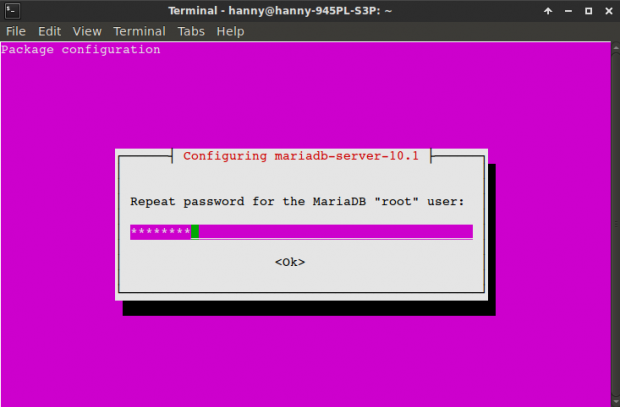 Repeat MariaDB Password