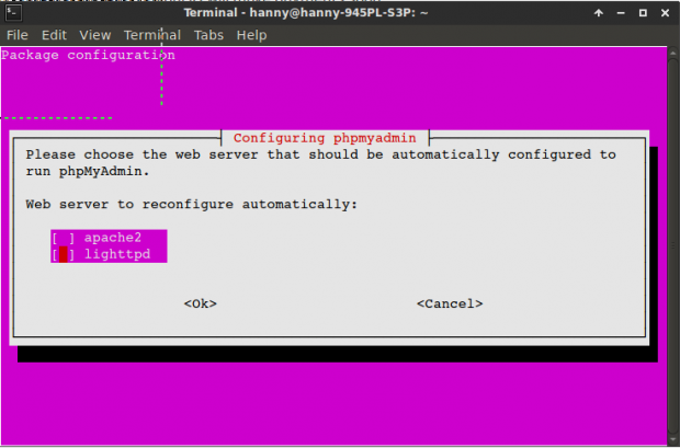 Choose Lighttpd Webserver
