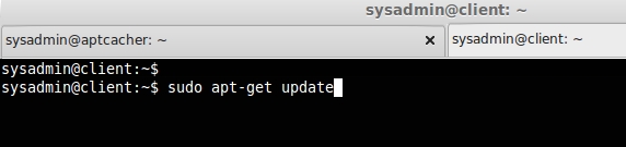 Update Packages Locally in Ubuntu