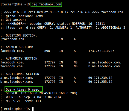 Check DNS Cache